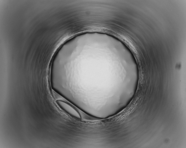 X0000098050899200804181320