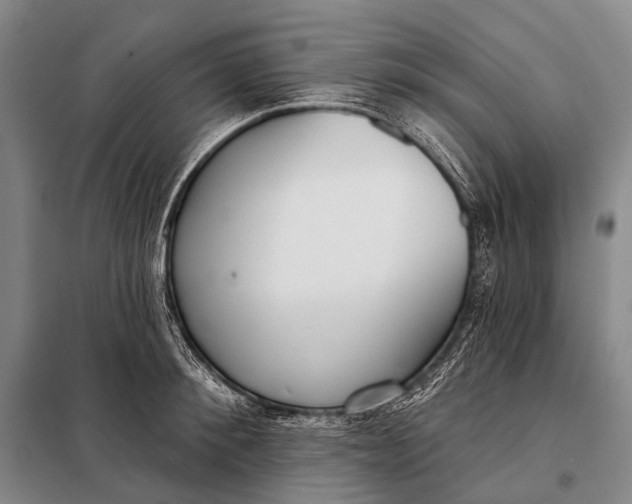 X0000098050900200804181320