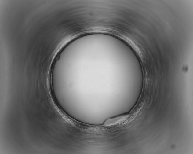 X0000098050901200804181320