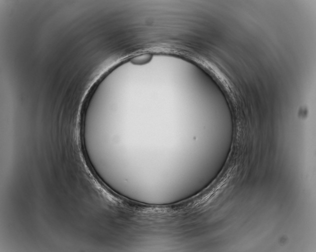 X0000098050902200804181320