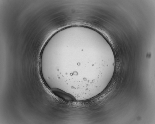 X0000098050903200804181320