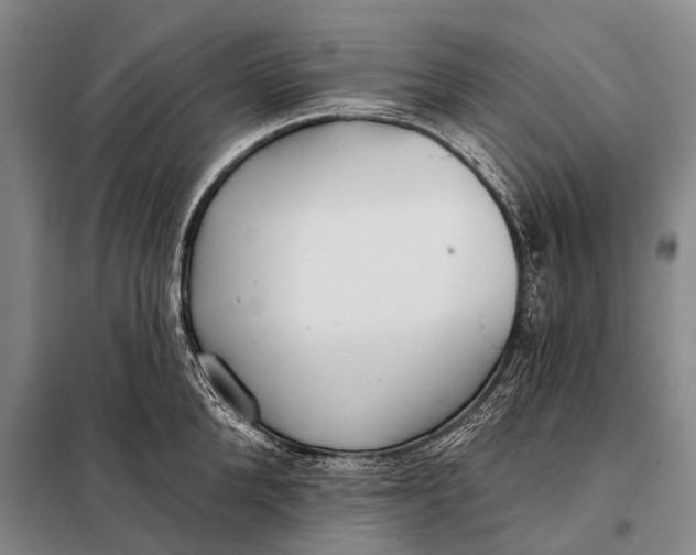 X0000098050904200804181320