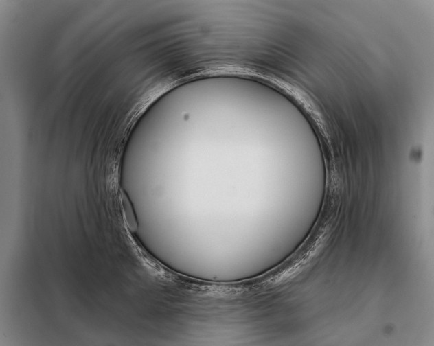 X0000098050905200804181320