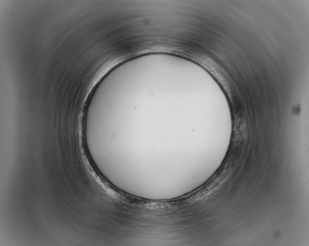 X0000098050906200804181320