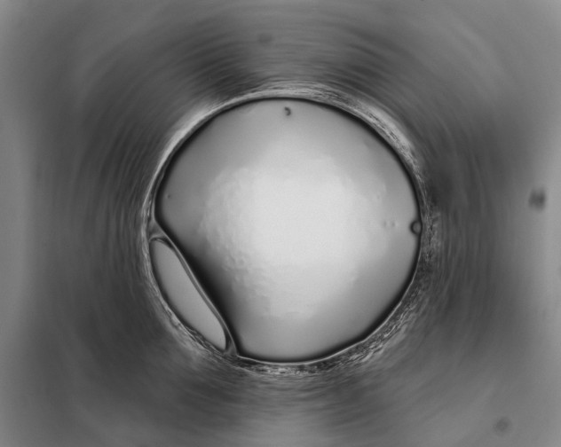 X0000098050907200804181320