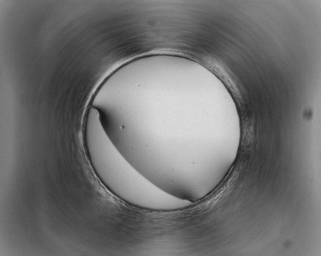 X0000098050908200804181320