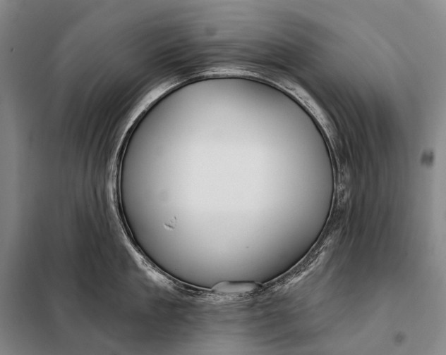 X0000098050909200804181320