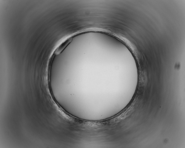 X0000098050910200804181320