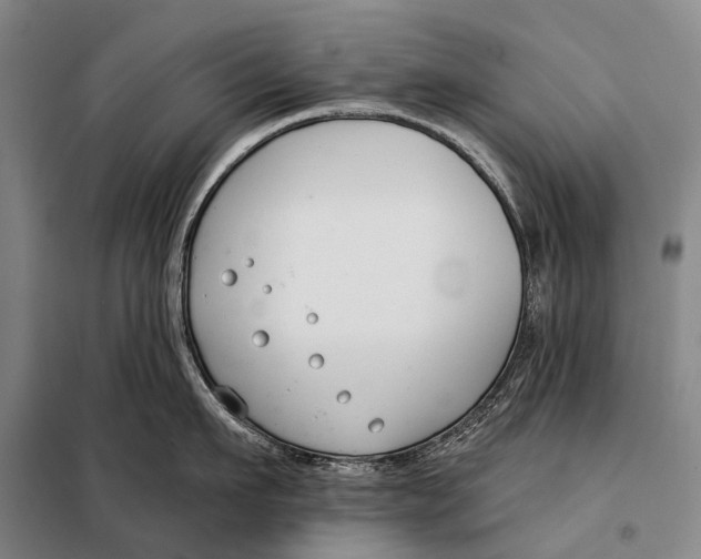 X0000098050911200804181320