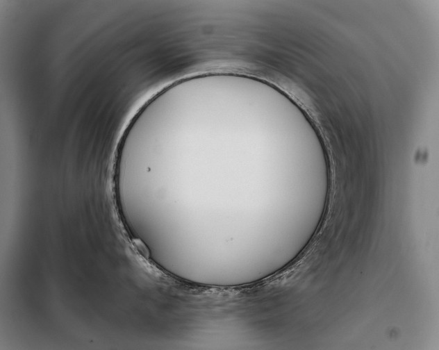 X0000098050912200804181320