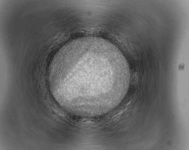 X0000098050913200804181319