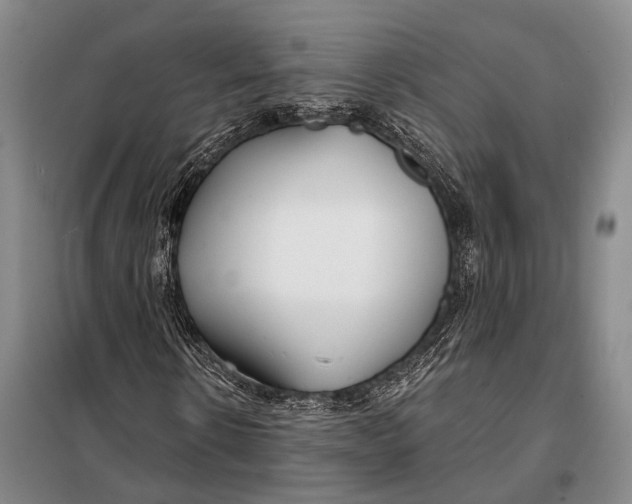 X0000098050914200804181319