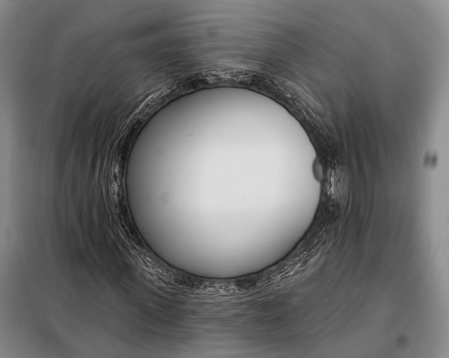 X0000098050915200804181319