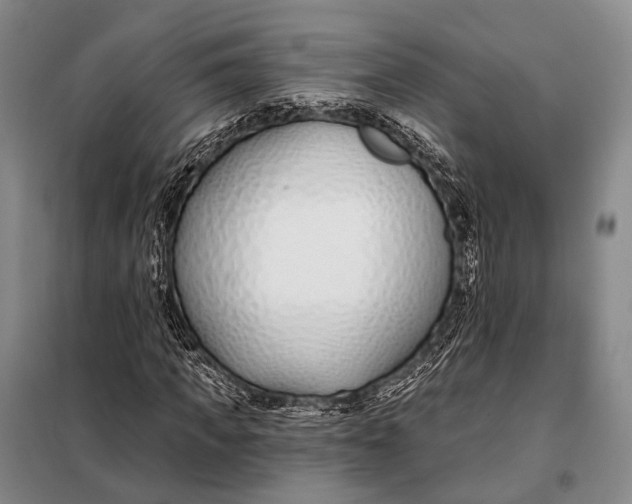 X0000098050917200804181319