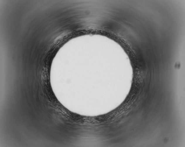 X0000098050918200804181319