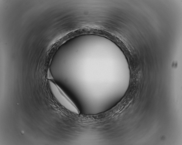 X0000098050919200804181319