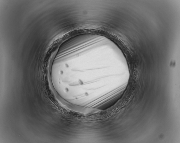 X0000098050920200804181319