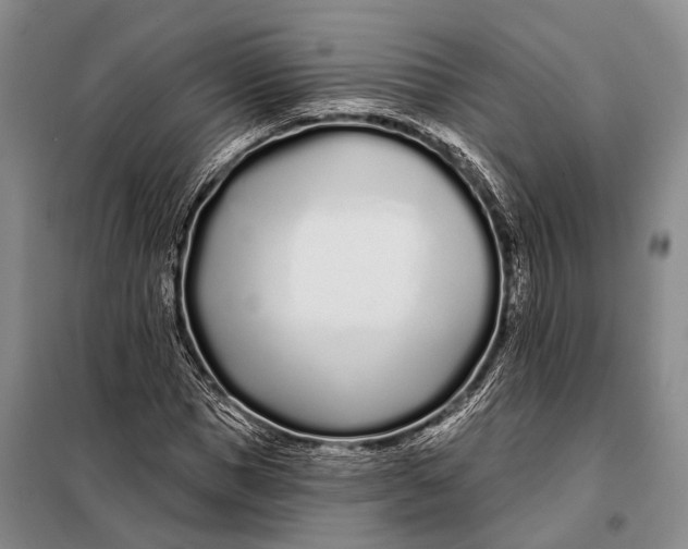 X0000098050921200804181319