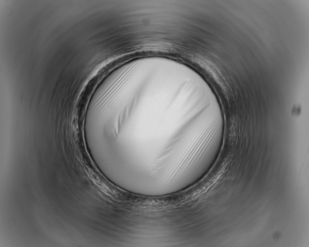 X0000098050923200804181319