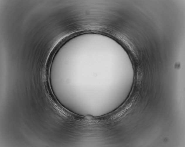 X0000098050924200804181319