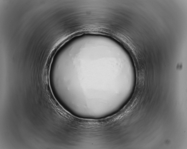 X0000098050925200804181319