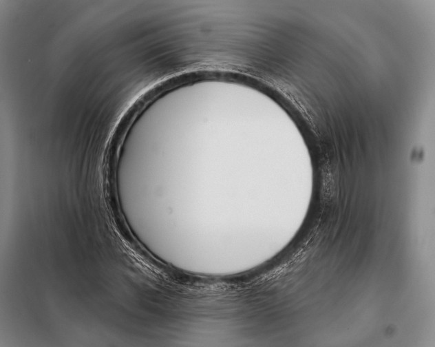 X0000098050926200804181319