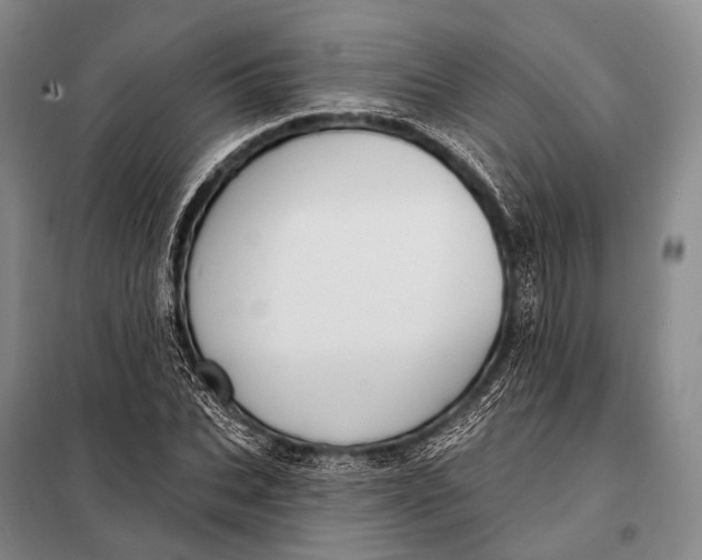 X0000098050927200804181319