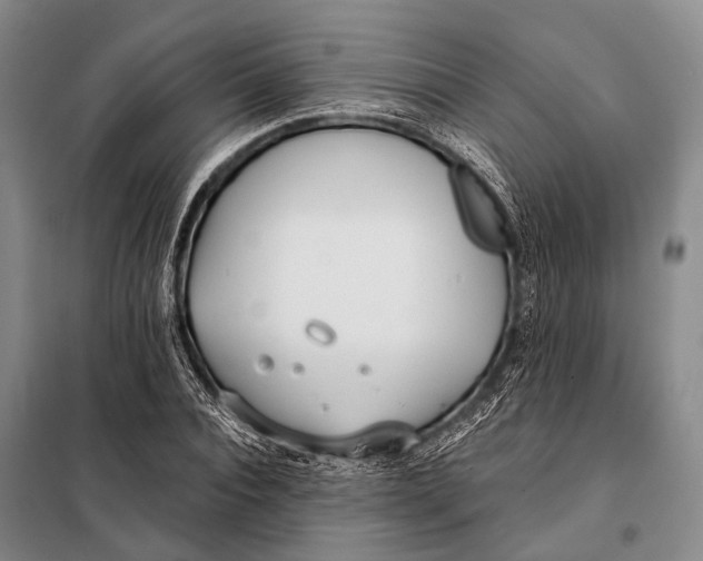 X0000098050928200804181319