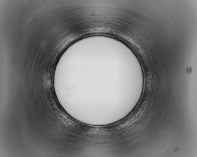 X0000098050929200804181319