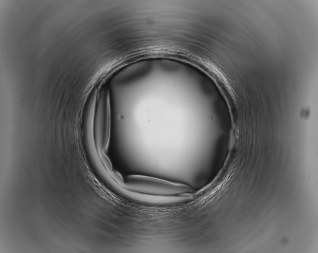 X0000098050930200804181319