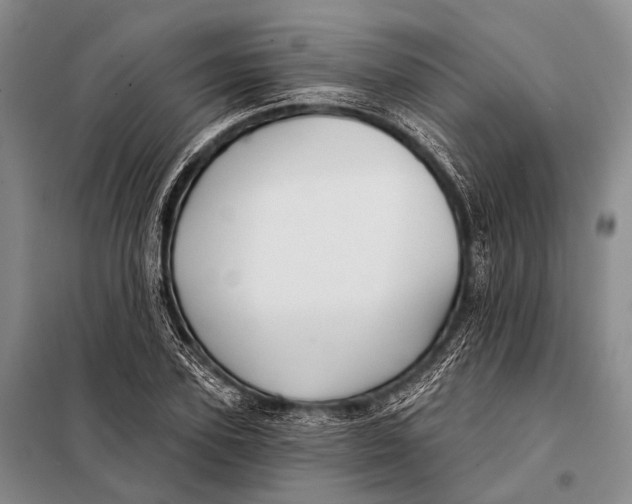 X0000098050931200804181319