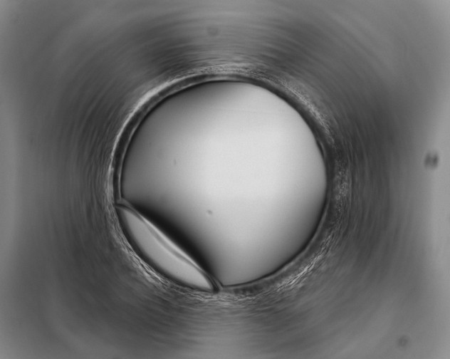 X0000098050932200804181319