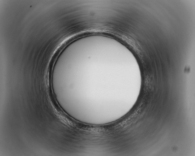 X0000098050934200804181319