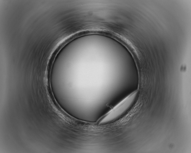 X0000098050935200804181319