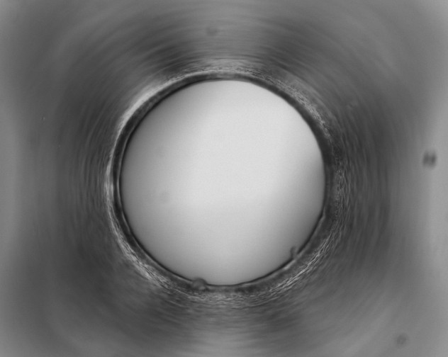 X0000098050936200804181320