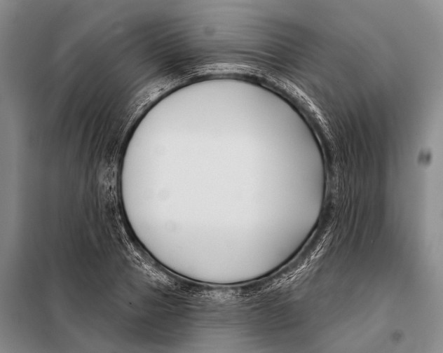 X0000098050937200804181320