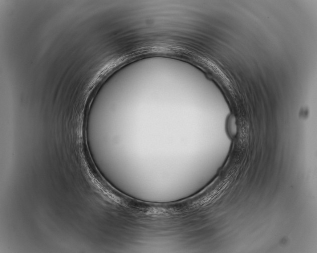 X0000098050938200804181320