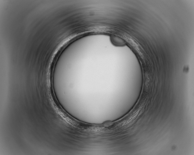 X0000098050939200804181320