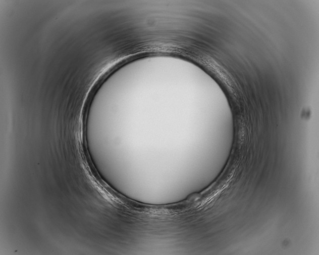 X0000098050940200804181320