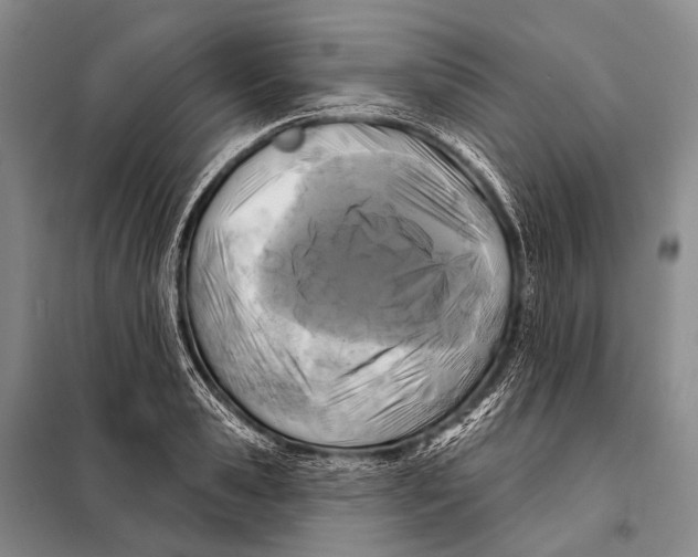 X0000098050941200804181320