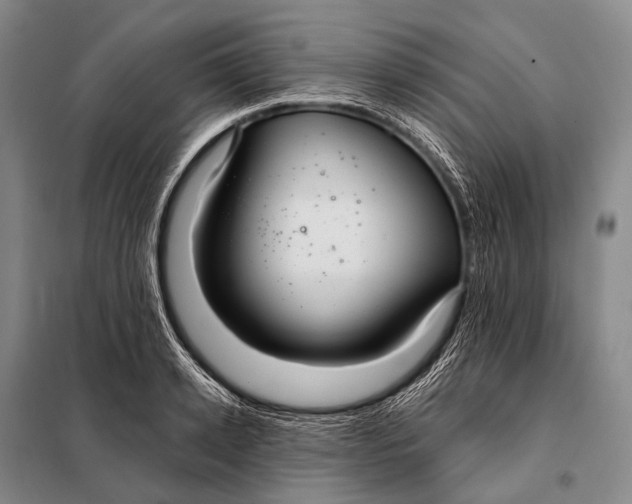 X0000098050942200804181320