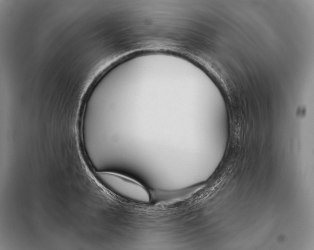 X0000098050943200804181320