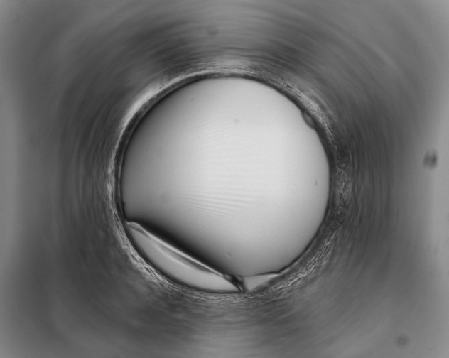 X0000098050944200804181320