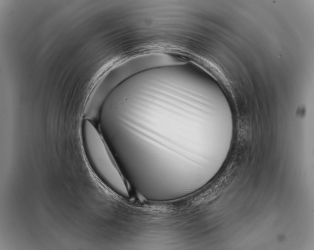 X0000098050946200804181320