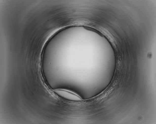 X0000098050948200804181320