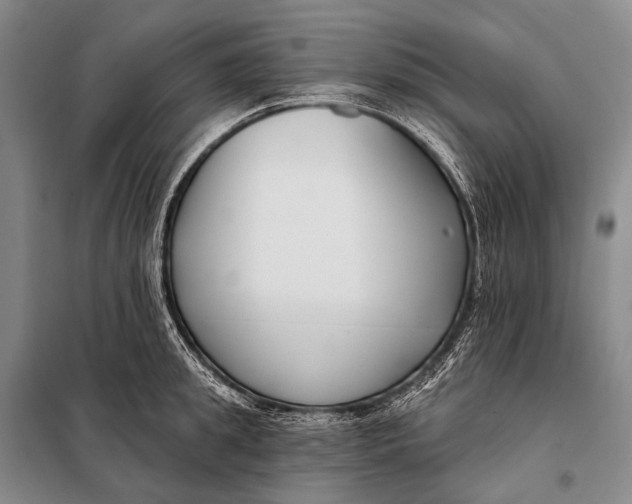 X0000098050949200804181320