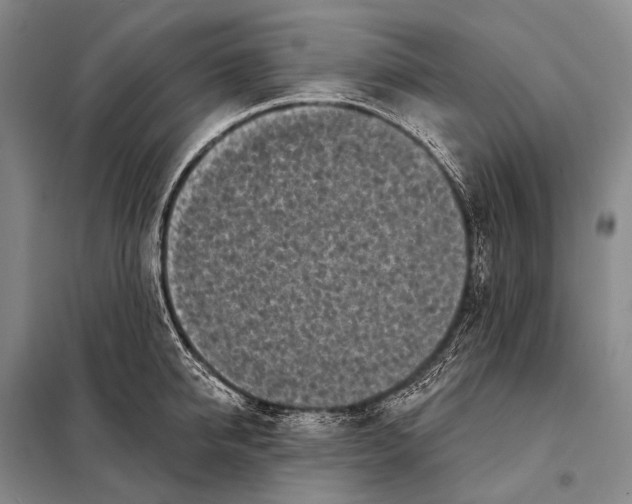 X0000098050950200804181320