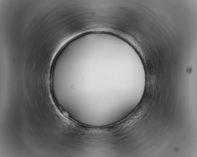 X0000098050951200804181320