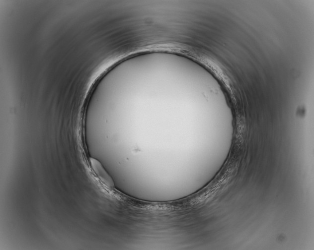 X0000098050952200804181320