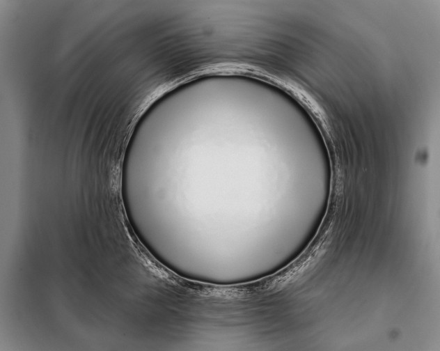 X0000098050953200804181320